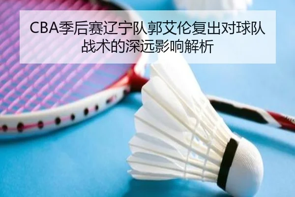 CBA季后赛辽宁队郭艾伦复出对球队战术的深远影响解析